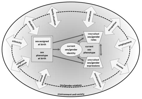 Ijerph Free Full Text Integrating Sexgender Into Environmental