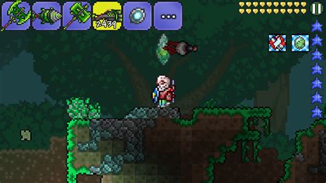 New character outfit : r/Terraria