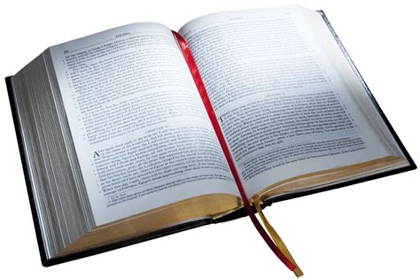 Bible Salvation Hope Teachings Faith Png
