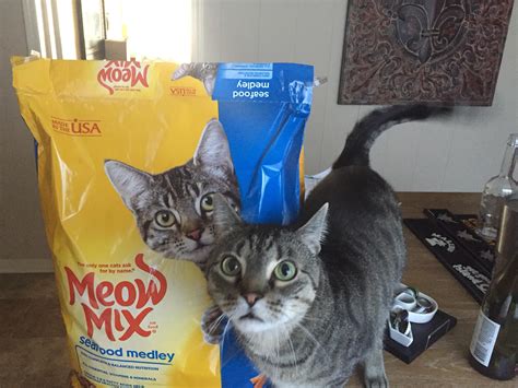 73 Best Meow Mix Images On Pholder Aww Catswithjobs And Cats With Socks