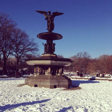 Central Park In Winter Time Winter Time Outdoor Decor Outdoor