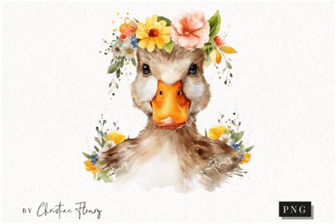 Watercolor Duck Clipart Watercolor Graphic By Christine Fleury