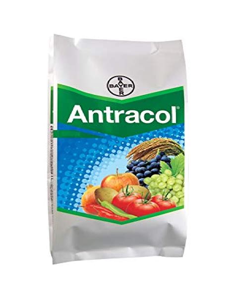 Bayer Antracol Fungicide Propineb 70 Wp 250g At Rs 300 Kg In Vadgam