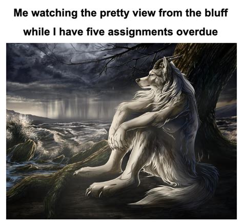 Werewolf Sitting Meme Generator Piñata Farms The Best Meme