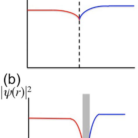 The Profiles Of The Electron Wave Function R In A Transparent