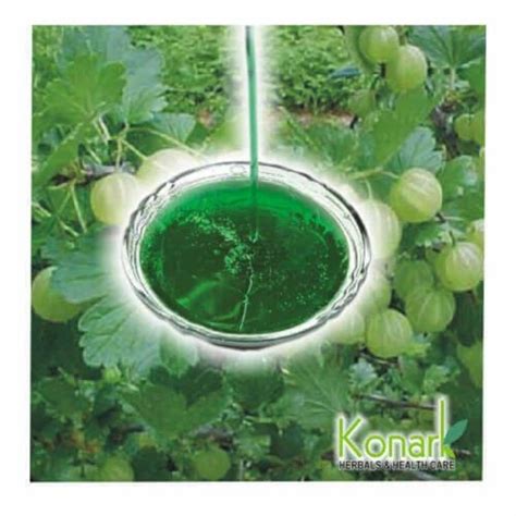 Emblica Officinalis Amla Herbal Extract, Packaging Type: Fiber Drums ...