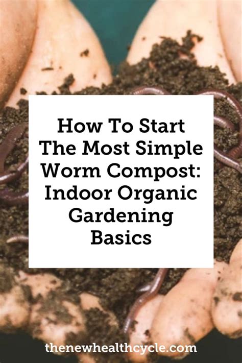 Worm Composting 101