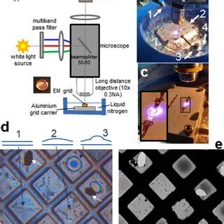 Experimental setup for interferometric microscopy at cryogenic ...