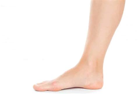 Average Ankle Size For Men And Women Fitness Volt