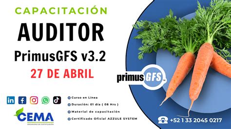 Curso Oficial Auditor Primusgfs V Cema Certificadora M