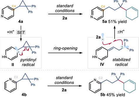 Photochemical Organocatalytic Functionalization Of Pyridines Via