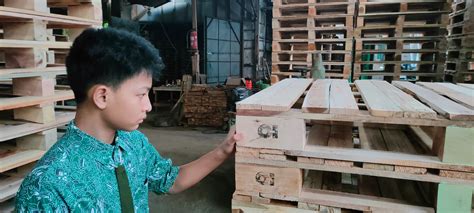 Palet Kayu