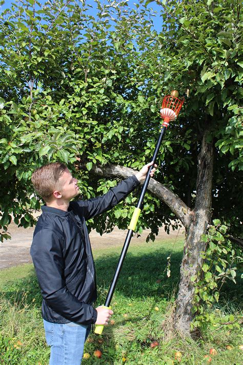 7penn Fruit Tree Picker Tool With Basket And Aluminum Telescoping