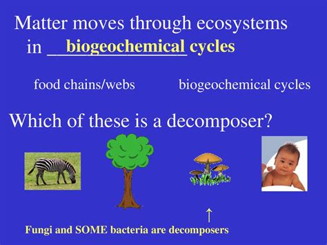 Biosphere Chapter 3 Review Ppt Download