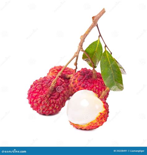 Litchi fruit stock image. Image of fruit, subtropics - 25228491