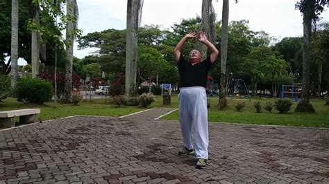 Taiji Qigong Shibashi ~ Set 1 Youtube