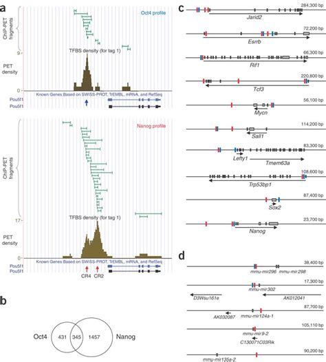 Oct4 And Nanog Binding Site Configurations At Genomic Locationsa A Download Scientific