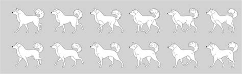 Dog Walk Cycle Animation: Over 28 Royalty-Free Licensable Stock Vectors ...