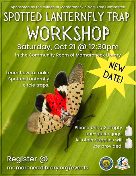 Spotted Lanternfly Trap Workshop - Mamaroneck Public Library