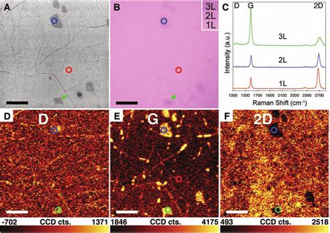 A SEM Image Of Graphene Transferred On SiO 2 Si 285 Nm Thick Oxide