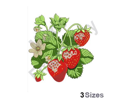 Strawberry Blooms Machine Embroidery Design Sizes Flowering