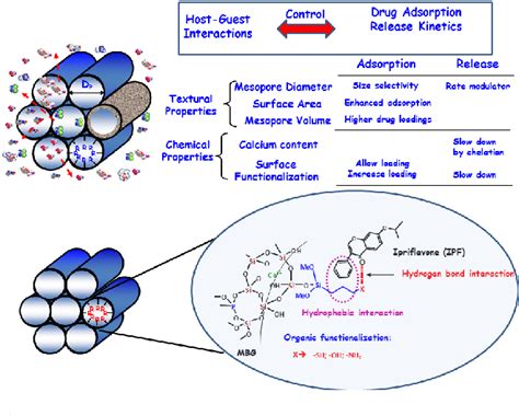 Figure 1 From Mesoporous Bioactive Glasses Relevance Of Their Porous Structure Compared To That