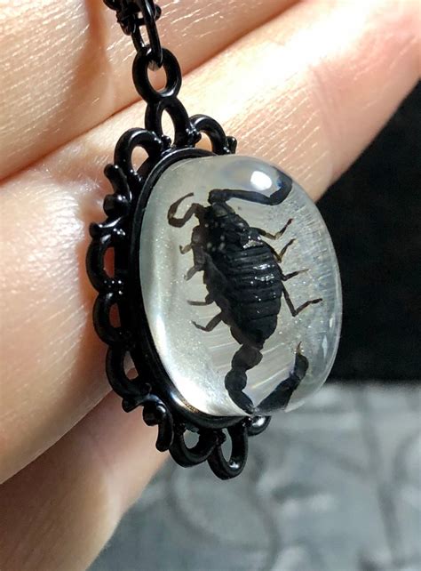 Tiny Black Baby Scorpion Specimen in Resin Cameo Black Frame - Etsy