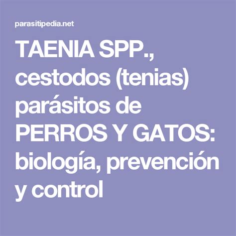 Taenia Spp Cestodos Tenias Par Sitos De Perros Y Gatos Biolog A