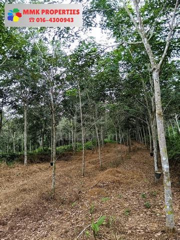 Agricultural Land For Sale 4 Acre S Sungkai Perak Mudah My