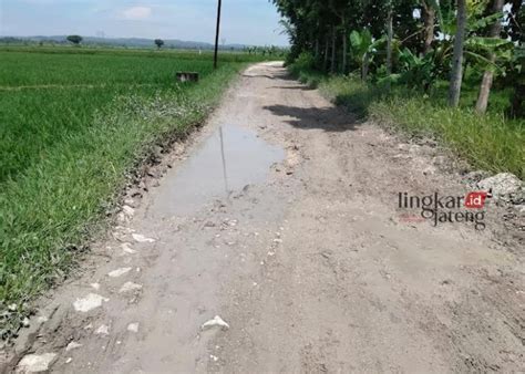 Tak Kunjung Diperbaiki Pemudik Keluhkan Kondisi Jalan Pelem Jati Blora