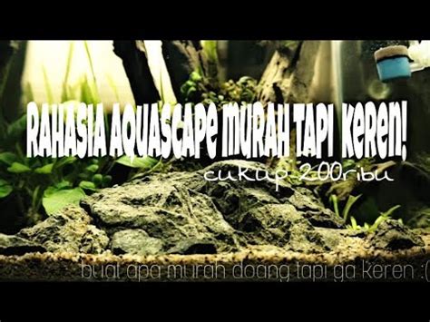 Cara Membuat Aquascape Untuk Pemula Cukup Ribu Tutorial Aquascape