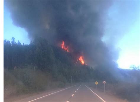 Cancelan Alerta Amarilla Por Incendio Forestal En Monte Oscuro De Curicó Atentos