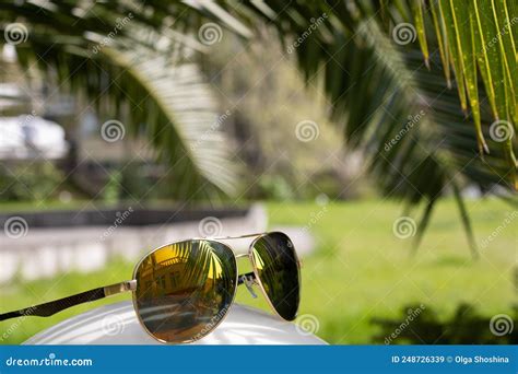 Gafas De Sol Con Reflejo De La Palma Y El Edificio Palmera En El Fondo