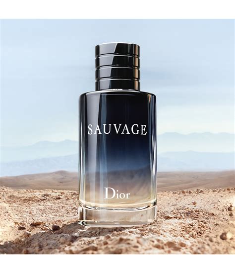 Perfume Dior Sauvage Masculino Eau De Toilette 100ml