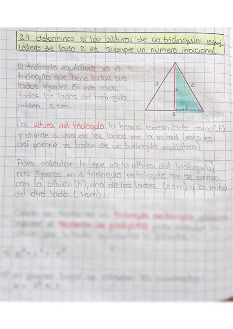 Solution Triangulo Equilatero De Lado Studypool