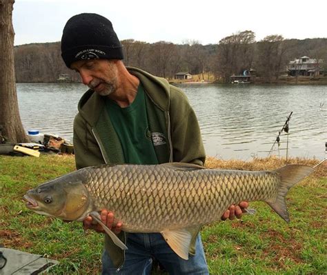 A Grass Carp From Lake Austin In Austin Texas Weighing In At 23 Pounds I Was Actually Prepared