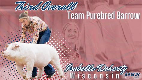 National Barrow Show Junior Classic Team Purebred Barrow The Pulse