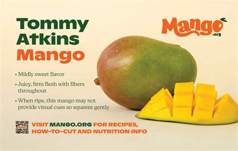 Tommy Atkins Mango Varietal National Mango Board