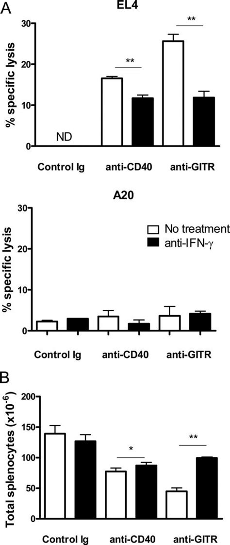 Breaking Of Cd8 T Cell Tolerance Through In Vivo Ligation Of Cd40