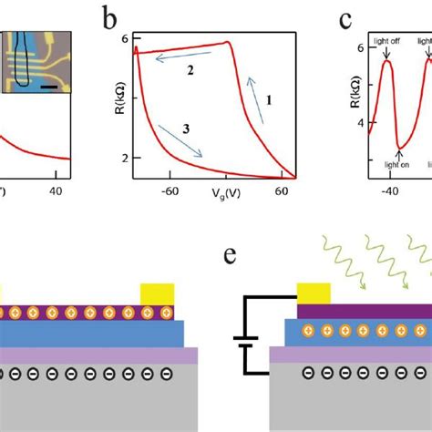 Dynamics And Origin Of Photo Induced Modulation Doping Effect