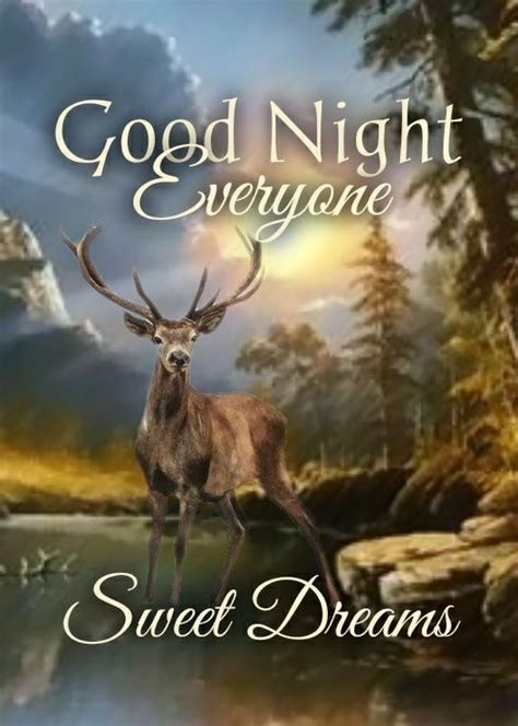 Deer Good Night Everyone Pictures Photos And Images For Facebook