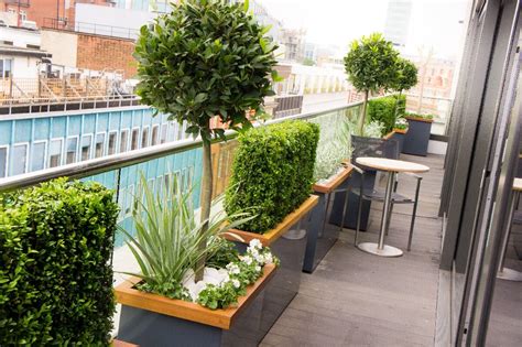 Roof Terrace Fitzrovia Bay Tree Buxus Graphite Grey Planters With