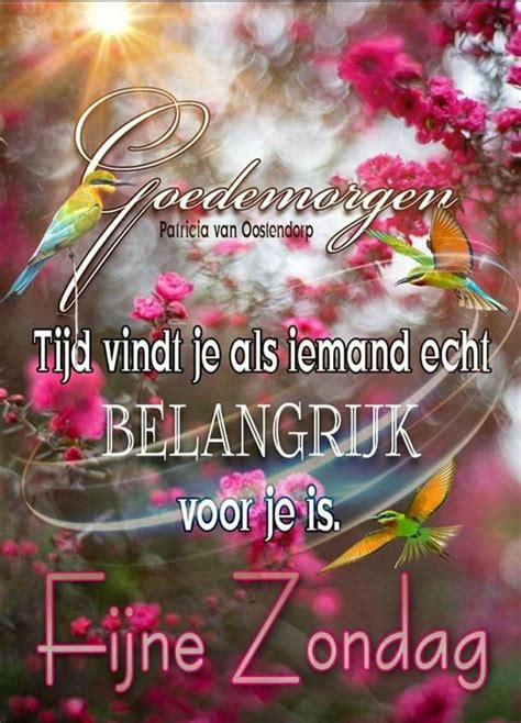 Pin By Ingrid Loyens On Fijne Zondag Good Morning Morning Quotes