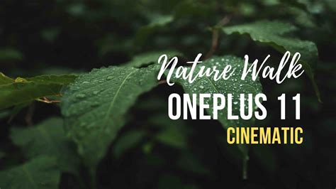 One Plus Cinematic Video Nature Walk Nature B Roll Mobile