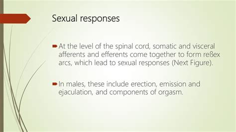 The Physiology Of Human Sexual Intercourse