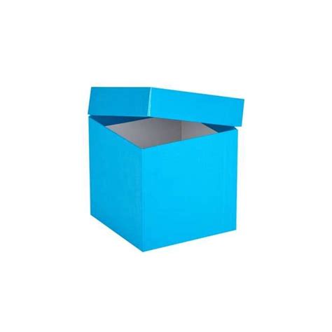 Ratiolab Cardboard Cryo Boxes With Waterproof Plastic Coating Height