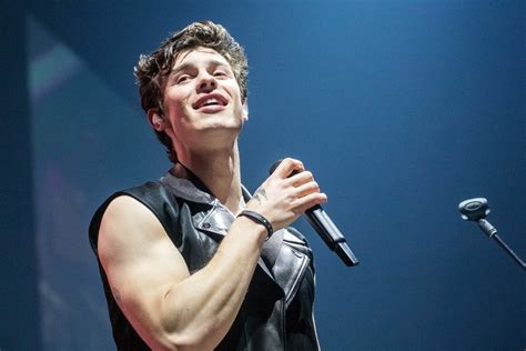 Shawn Mendes If I Cant Have You Song You Need To Know