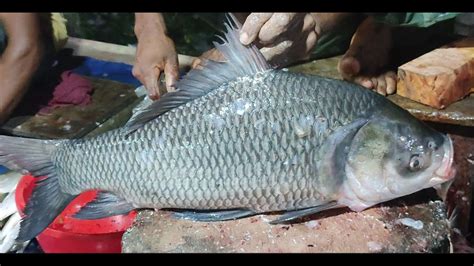 Incredible Giant Katla Fish Cutting Skills Live In Fish Market