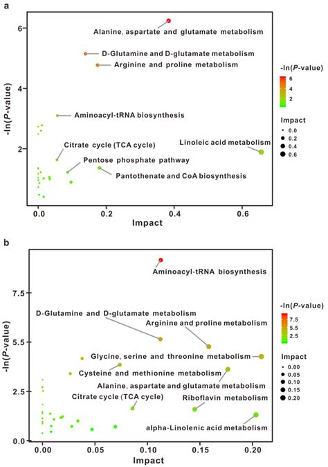 Pathway Analysis Of Differential Metabolites In The Liver A And