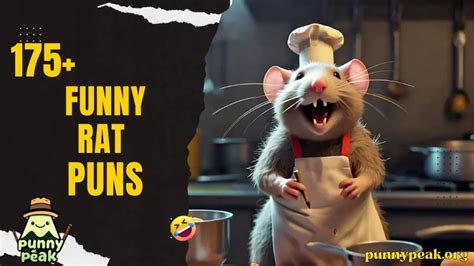 175 Rat Puns And Jokes Cheesy And Clever Laughs For Everyone